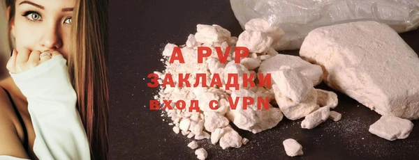 стаф Абинск