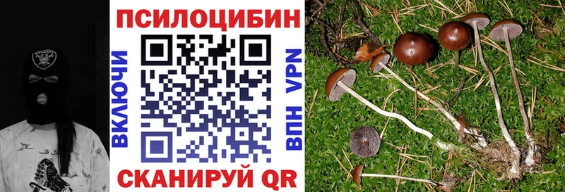 Галлюциногенные грибы ЛСД Алексин